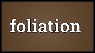 Foliation Meaning [upl. by Adnertal]