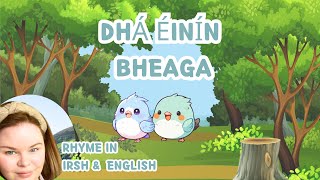 Dhá Éinín Bheaga Two Little Birds Rhyme in Irish amp English [upl. by Eibbil447]