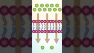 Which best describes the difference between osmosis and diffusion [upl. by Hteboj199]