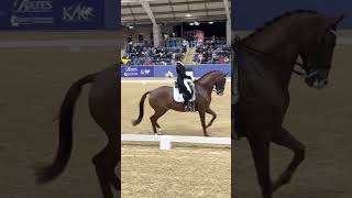 2023 Sydney CDI FEI Grand Prix Freestyle Winning Test [upl. by Gibbs]