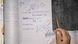 Somatosensory cortex part 2 guyton 48 function of somatosensory areas [upl. by Nert354]