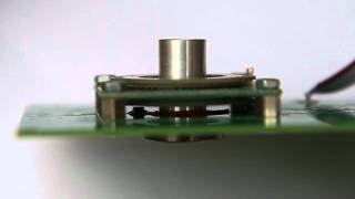 Hollow Shaft Piezo Motor 10 mm shaft 30 mm rotor [upl. by Iztim10]