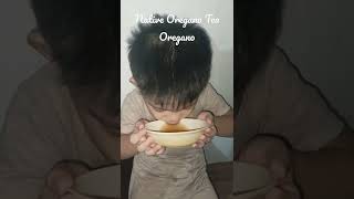 oregano tea oregano oreganorecipe shorts shortvideo tea oreganotea kalabo [upl. by Teevens34]