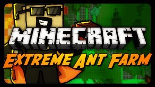 Extreme Ant Farm Survival  Ep 15  Brand New Home [upl. by Krisha]