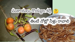 వంకాయ రొయ్యల కర్రీ ఎలా చేయాలో ఫుల్ వీడియో చూస్తే తినాలని monikayakannavlog venkaya Royal kare🙏 [upl. by Yung92]