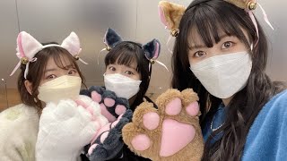 Eng Sub Nyanyanya Game  Bandori TV LIVE 2022 104 202223 [upl. by Alleuqram]