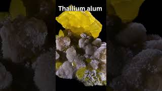 Thallium [upl. by Arahd464]