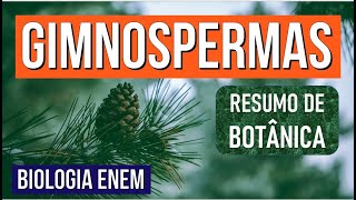 GIMNOSPERMAS veja o que são e as características no Reino das Plantas  RESUMO DE BIOLOGIA ENEM [upl. by Reed]