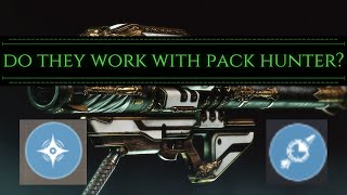 Destiny 2  Gjallarhorns Pack Hunter with Lasting ImpressionCluster Bombs [upl. by Alexine917]