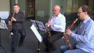 Lotz Trio  Basset Horn trio  WAMozart Zauberflöte  Marsch der Priester HD [upl. by Yelsehc]