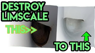 Destroy Limescale in seconds The ultimate limescale removal tip INCREDIBLE RESULTS [upl. by Notsla509]