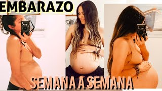 EMBARAZO SEMANA A SEMANA EVOLUCIÓN DE EMBARAZO Ve mi PANZA CRECER [upl. by Ecirp]