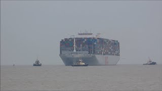 Complications delay the tide restricted OOCL United Kingdoms arrival to Felixstowe 28th April 2023 [upl. by Sommer]