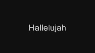 John Cale  Hallelujah Lyrics best version [upl. by Ahsiner]