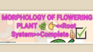 BIOLOGY♡🔴 Morphology of Flowering plant 🌿 Root System completely👈withsonam [upl. by Magee]