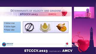 STCCCV 2023  F MGHAITH  Pitfalls in TTE assessment of heart valve prosthesis [upl. by Britte]