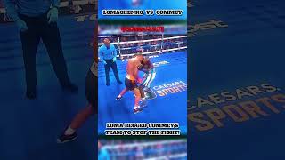 LOMECHENKO DESTROYS COMMEY boxinghighlights boxing shorts [upl. by Munafo]