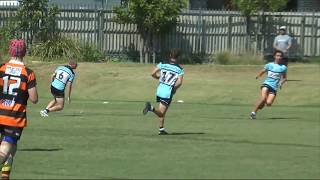 Harold Matthews Round Eight  Cronulla Sharks v Balmain Tigers [upl. by Eniger]