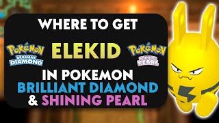 How To Get Elekid In Pokemon Brilliant Diamond amp Shining Pearl [upl. by Avron714]