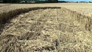 Crop Circle at Hackpen Hill 2682012 [upl. by Eilyac]