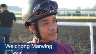 2013 Dubai World Cup Weichong Marwing  Jockey Fredrick Engels [upl. by Grantham]