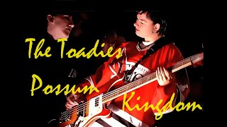 The Toadies  Possum Kingdom 1995  4K HD [upl. by Ellevehs192]