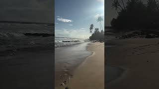 Exploring Sri Lankas Most Beautiful Beaches [upl. by Le]