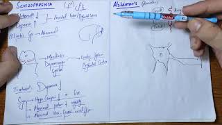 guyton chapter 60 last partshizophrenia Alzheimers disease [upl. by Ssecnirp230]