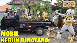 UPlIN BIKIN KEBUN BINATANG DI ATAS MOBIL [upl. by Calder]