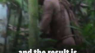 Uncontacted tribes The Dangerous First Contact [upl. by Allmon]