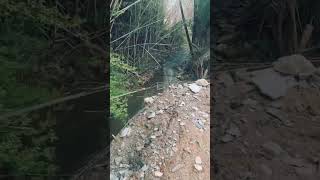 12ft Tall Retaining Wall Fail [upl. by Llenrahs418]