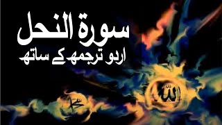 Surah AnNahl with Urdu Translation 016 The Bee raaheislam9969 [upl. by Qirat]