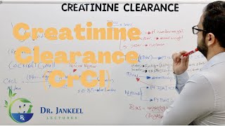 Creatinine Clearance CrCl Calculations [upl. by Stav]