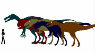 Carnivore Dinosaur Size Comparison Scale [upl. by Reffinnej]