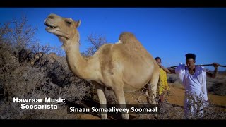 MASLAX MIDEEYE SOOMAAL NEW OFFICIAL VIDEO 2021 [upl. by Gerard]