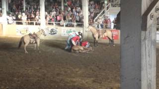 Horse breaks neck in rodeo [upl. by Nonnel]