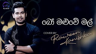 බෝ මළුවේ මල්  Bo Maluwe Mal Cover  Raween Kanishka [upl. by Letney68]