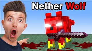 Myths That will Ruin Your TRUST in Minecraft [upl. by Darees]