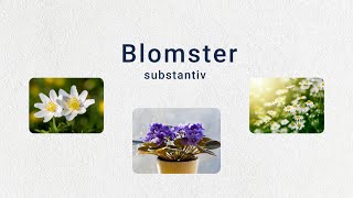 Tema Blomster A2 Substantiv levitator substantiv norsk norskkurs norwegian blomster sommer [upl. by Ennovart30]