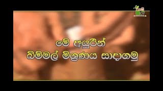 Department Of Agriculture Sri lanka Krushi tv channelමේ අයුුරින් බිම්මල් සාදා ගමු [upl. by Schouten]