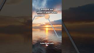 Deep Breathing Exercise for Panic Attacks breathing breathingtechnique breathingexercise [upl. by Diantha30]