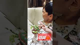 Crabby Vibes only crabby vibes goodvibes trending ytshortsindia shorts viralvideo cutie [upl. by Nele]