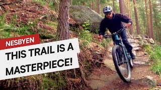 Den Ravinde  TRAIL PREVIEW  Nesbyen Norway 🇳🇴  2023 [upl. by Nilak]