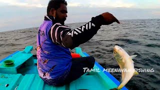 Catching Gaint Trevally fish using live bait [upl. by Shultz]