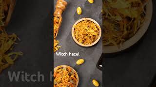 Skincare Tips Unveiling the Power of Witch Hazel [upl. by Ardnohs]