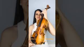 Soriexperience Entre dos aguas violin cover MJ Pareja [upl. by Jany]