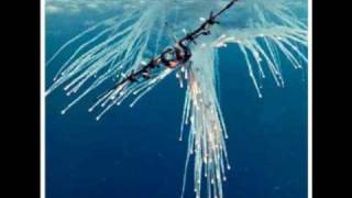 Deadly AC130 Gunship in Action Firing All Its Cannons [upl. by Noffihc]