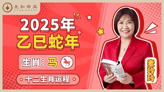 麦玲玲师傅详解2025蛇年运程：生肖马！事业运、财运、人际关系、爱情、婚姻、健康全解析！ [upl. by Manus]