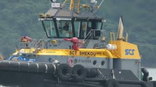 Tugboat《SHEKOU 蛇口》駛經青馬橋 20240908 P3260226 [upl. by Shaper]