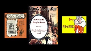 WINELAND BANJO BAND plays a medley of 3 songs [upl. by Dolph]